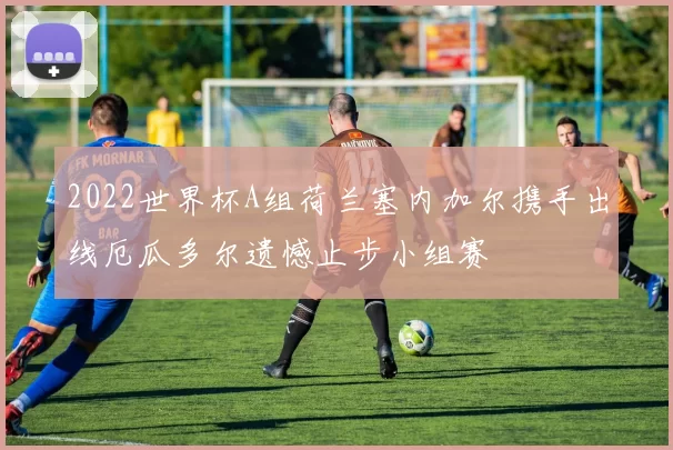 2022世界杯A组荷兰塞内加尔携手出线厄瓜多尔遗憾止步小组赛