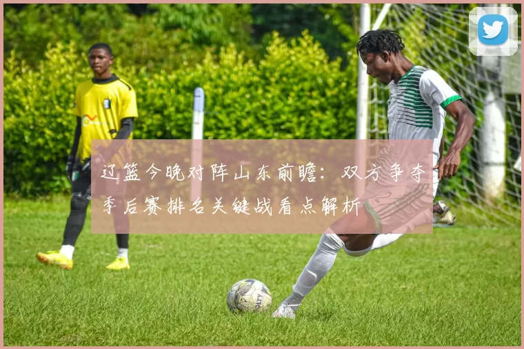 辽篮今晚对阵山东前瞻：双方争夺季后赛排名关键战看点解析