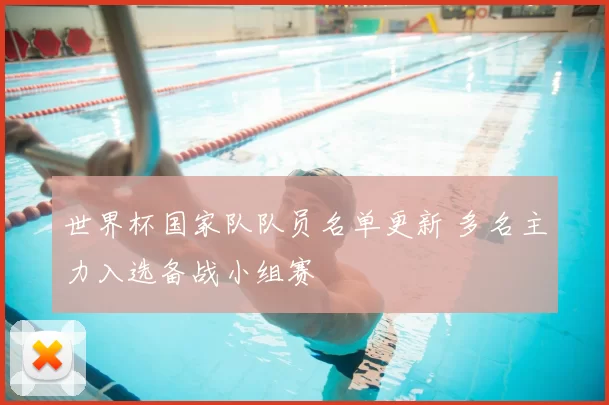 世界杯国家队队员名单更新 多名主力入选备战小组赛