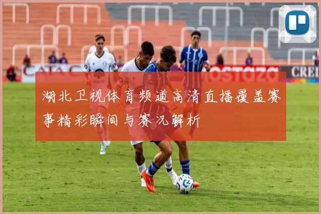 湖北卫视体育频道高清直播覆盖赛事精彩瞬间与赛况解析