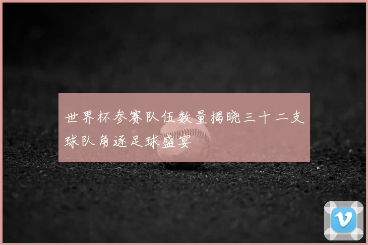 世界杯参赛队伍数量揭晓三十二支球队角逐足球盛宴