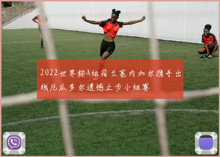 2022世界杯A组荷兰塞内加尔携手出线厄瓜多尔遗憾止步小组赛